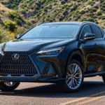 2025 Lexus NX Exterior